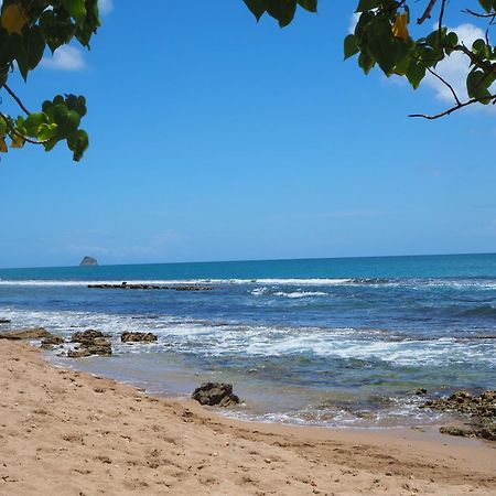 Holidays Guadeloupe Plessis-Nogent Exteriér fotografie